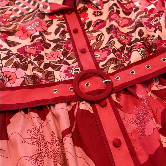 DALIA MACPHEE dress - Picture 13 of 14